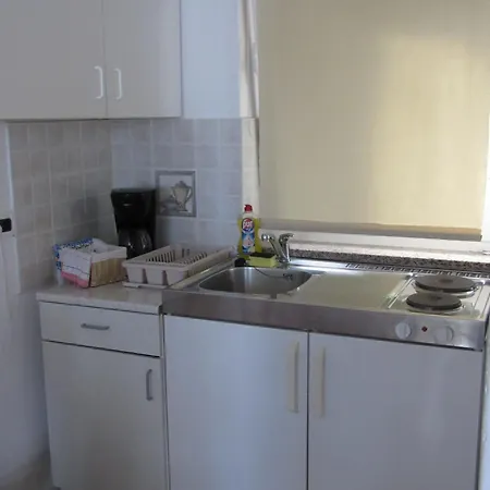 Palme 1 Apartman Opatija